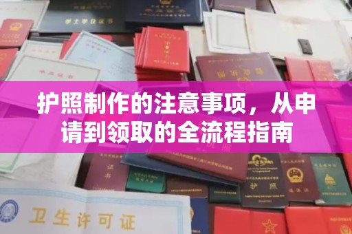谢通门护照制作的注意事项，从申请到领取的全流程指南