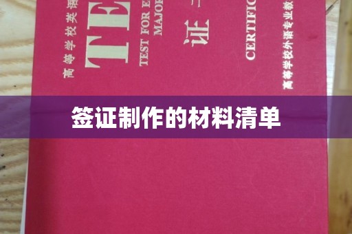 谢通门签证制作的材料清单