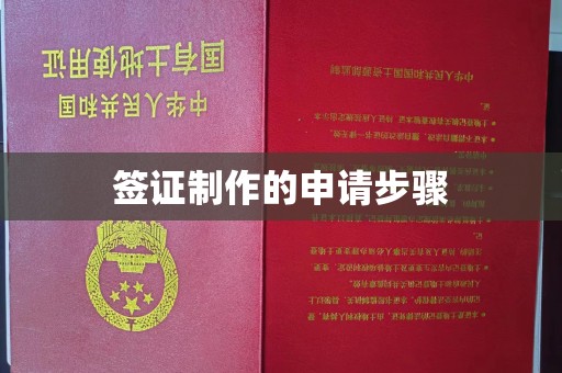谢通门签证制作的申请步骤