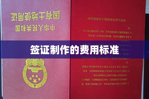 谢通门签证制作的费用标准