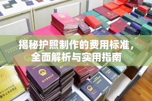 谢通门揭秘护照制作的费用标准，全面解析与实用指南