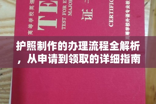 谢通门护照制作的办理流程全解析，从申请到领取的详细指南