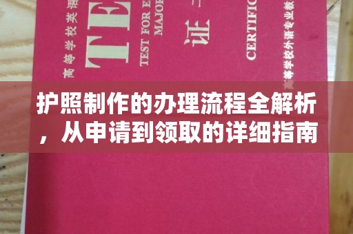 谢通门护照制作的办理流程全解析，从申请到领取的详细指南