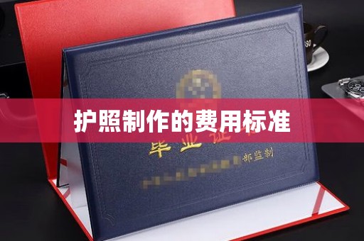 谢通门护照制作的费用标准
