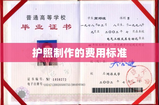 谢通门护照制作的费用标准